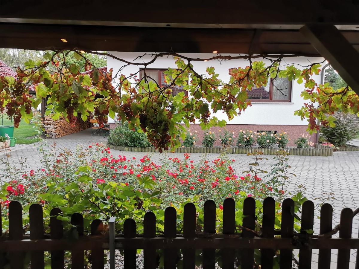 Rosenhof Holiday home *