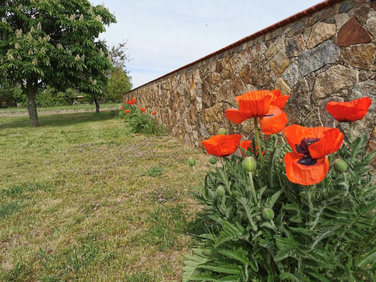 Holiday home Rosenhof Glaubitz