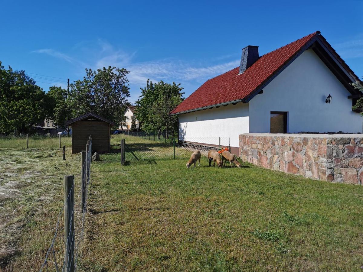 Holiday home Rosenhof Glaubitz